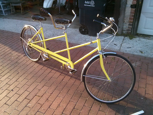 schwinn deluxe twinn